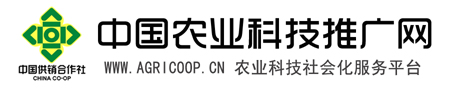 中国农业科技推广网